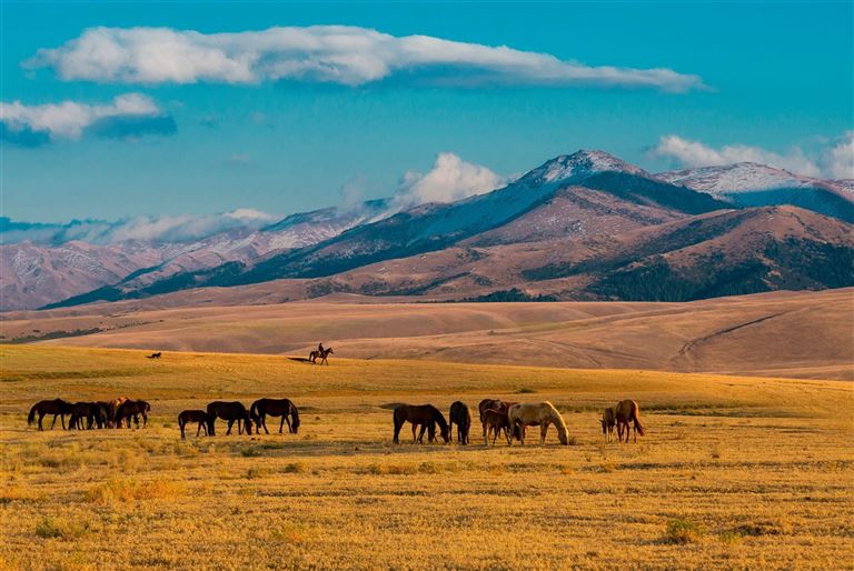 Glanz der Seidenstraße ©Aureliy /adobestock